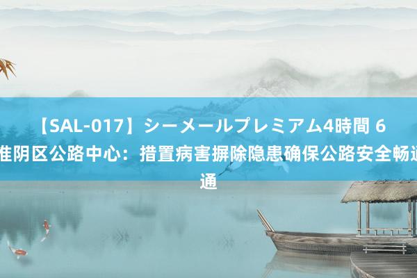 【SAL-017】シーメールプレミアム4時間 6 淮阴区公路中心：措置病害摒除隐患确保公路安全畅通