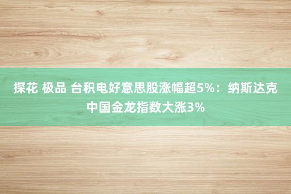 探花 极品 台积电好意思股涨幅超5%：纳斯达克中国金龙指数大涨3%