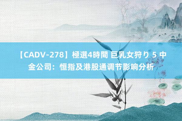 【CADV-278】極選4時間 巨乳女狩り 5 中金公司：恒指及港股通调节影响分析