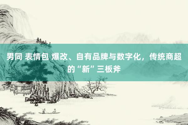 男同 表情包 爆改、自有品牌与数字化，传统商超的“新”三板斧