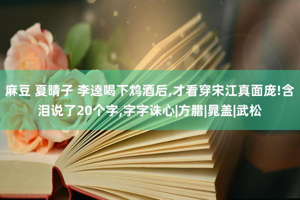 麻豆 夏晴子 李逵喝下鸩酒后，才看穿宋江真面庞!含泪说了20个字，字字诛心|方腊|晁盖|武松