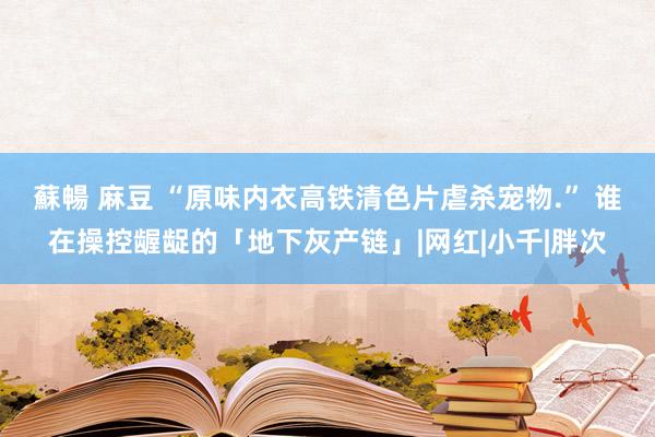 蘇暢 麻豆 “原味内衣高铁清色片虐杀宠物.” 谁在操控龌龊的「地下灰产链」|网红|小千|胖次