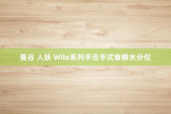 曼谷 人妖 Wile系列手合手式食粮水分仪